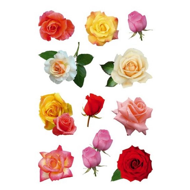 Herma Decor stickers - forskellige flotte roser - 3 stk.