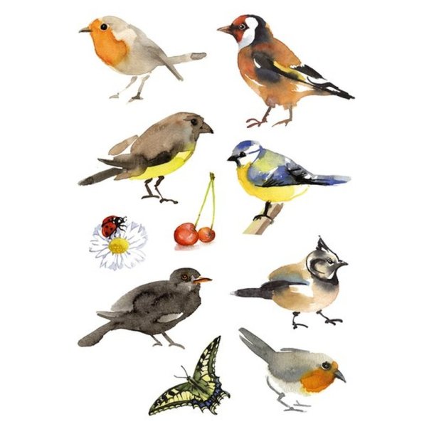 Herma Decor stickers - forskellige fugle i akvarel - 3 stk.