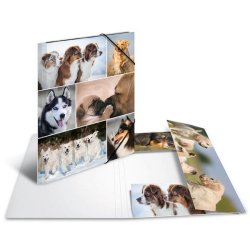 Herma elastikmappe - pap - A4 - hund