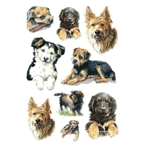 Herma Decor klistermrker/stickers - hunde - 3 stk.