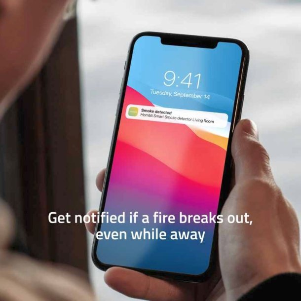 Hombli Smart Rgalarm/smoke detector - Gr