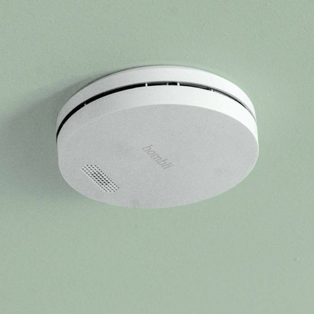 Hombli Smart Rgalarm/smoke detector - Gr