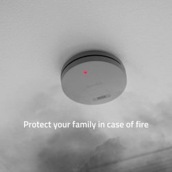 Hombli Smart Rgalarm/smoke detector - Gr