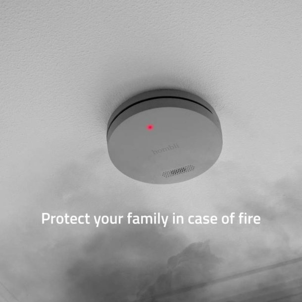 Hombli Smart Rgalarm/smoke detector - Gr