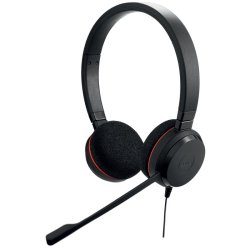 Jabra Evolve 20 - Headset - Head-band - Office/Call center - Binaural - Sort - Volume +/-