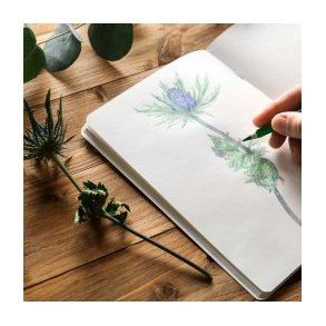 Tegne og skitseblokke