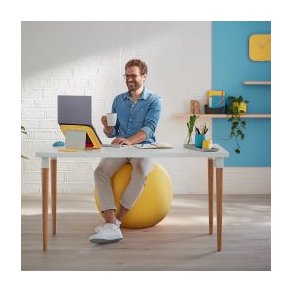 Ergonomiske Balancebolde