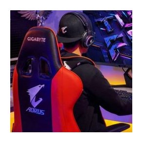 Gaming Stole