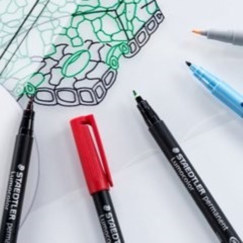 Artline, Staedtler, Pilot og Sharpie non permanent marker – kendte kvalitetsmærker