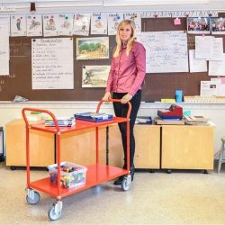 Kongamek bordvogn KM7105 - 2 hylder - rd - med bremse