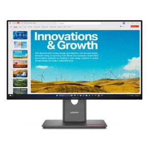 Lenovo ThinkVision P24QD-40 Monitor 23.8