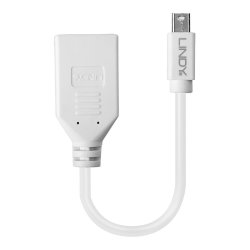 Lindy - 0.20m Mini DisplayPort to DisplayPort Adapter Cable - 0.15 m - Mini DisplayPort - DisplayPort - Male - Female - 