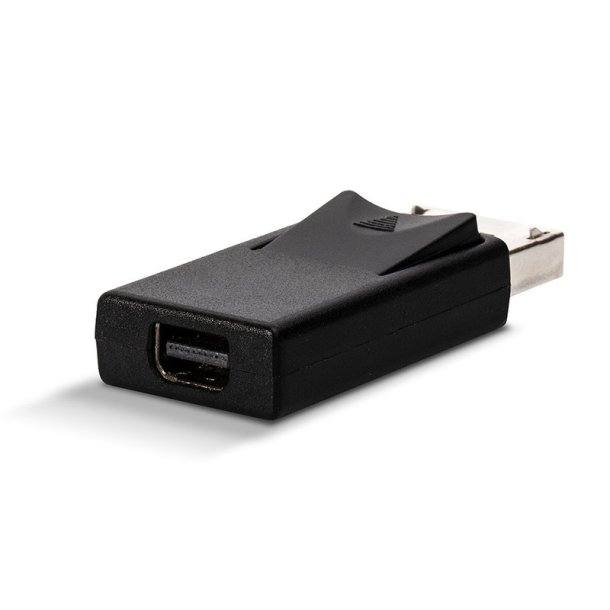 Lindy - DisplayPort to Mini DisplayPort Adapter - DisplayPort - Mini DisplayPort - Male - Female - Gold - Black