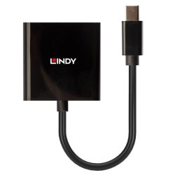 Lindy - Mini DisplayPort to DVI Active Converter - Mini DisplayPort - DVI-D - Male - Female - Straight - 1.2