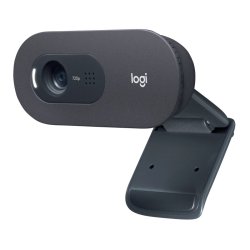 Logitech C505 - Webcam - farve - 720p - fast brndvidde - audio - USB