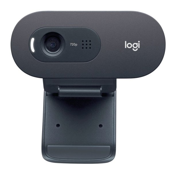 Logitech C505e - Webcam - farve - 720p - fast brndvidde - audio - USB