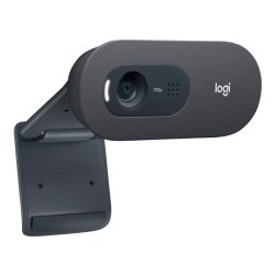 Logitech C505e - Webcam - farve - 720p - fast brndvidde - audio - USB