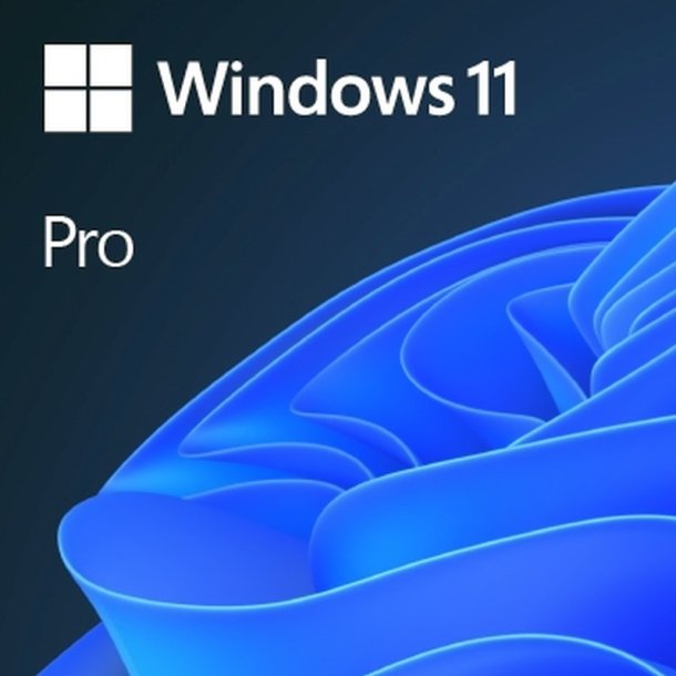 Microsoft Windows 11 Pro - Licens - 1 licens - OEM - DVD - 64-bit - Engelsk