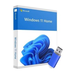 Microsoft Windows 11 Home - 1 licens - OEM - USB- 64-bit - Engelsk