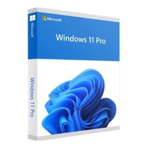 Microsoft Windows 11 Pro - 1 licens - OEM - DVD - 64-bit - Engelsk