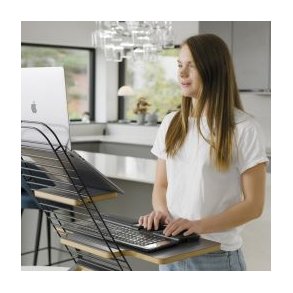 Mousetrapper Ergonomi