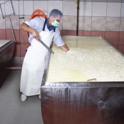 Notrax fdevaremtte Gribwalker 539 - 122cm x 12,2 Meter Gr drnmtte p rulle