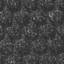 Notrax indgangsmtte Aqua Trap 150 - 120x180cm smudsmtte trkul