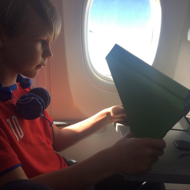 Philbert Solskrm &amp; Privacy - Cover iPad/Tablet - 9,7''-11'' - Sort