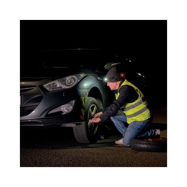 Rapid Arbejdslampe The Inspector H/F, pandelampe