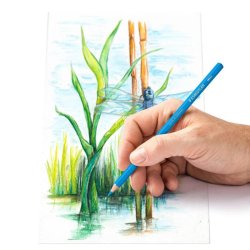 Staedtler Farveblyanter - aquarell - Assorteret farver - 12 stk.
