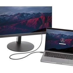 StarTech.com CDP2VGAMM2MB - 2 m - USB Type-C - VGA (D-Sub)