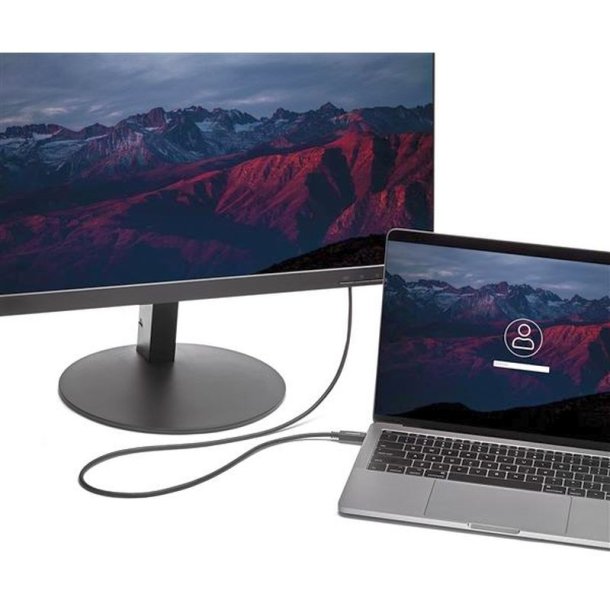 StarTech.com CDP2VGAMM2MB - 2 m - USB Type-C - VGA (D-Sub)