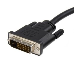 StarTech.com DP2DVIMM10 - 3 m - DisplayPort - DVI-D