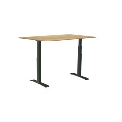 Sun-Flex hve/snkebord 120x80 - EDA VI - birk bordplade - sort stel