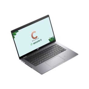 Dell Inc. Latitude 5420 refurbished Grade C - Intel i5 - 16 GB - 256 GB - 14