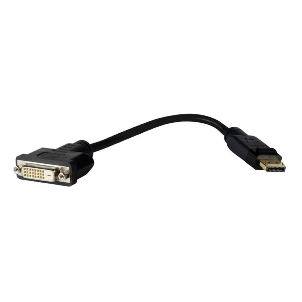 Vivolink - PRODPADAPDVI - Straight - Gold - 0.2 m - DisplayPort - DVI-D - Male