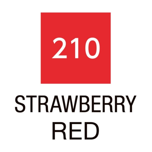 ZIG Clean Color Pensel - Pen 210 - Jordbr rd