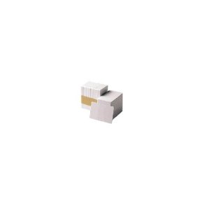 Zebra - Premier PVC Card, 30 mil 5 packs x 100