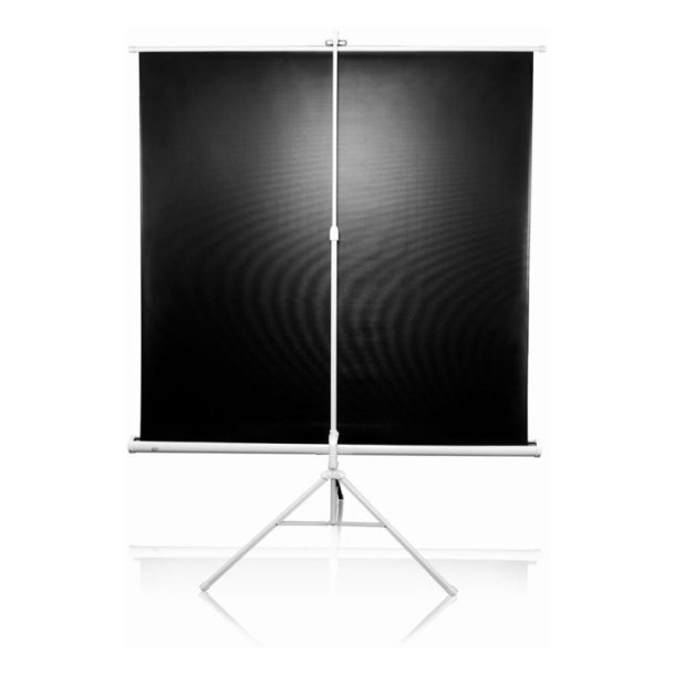 Elitescreens projektorlrred p stativ - Tripod T71NWS1 - 71" - 1:1 - MaxWhite